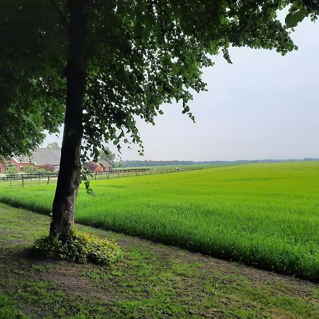 Vledderstee Apartment Vledderveen  ภายนอก รูปภาพ