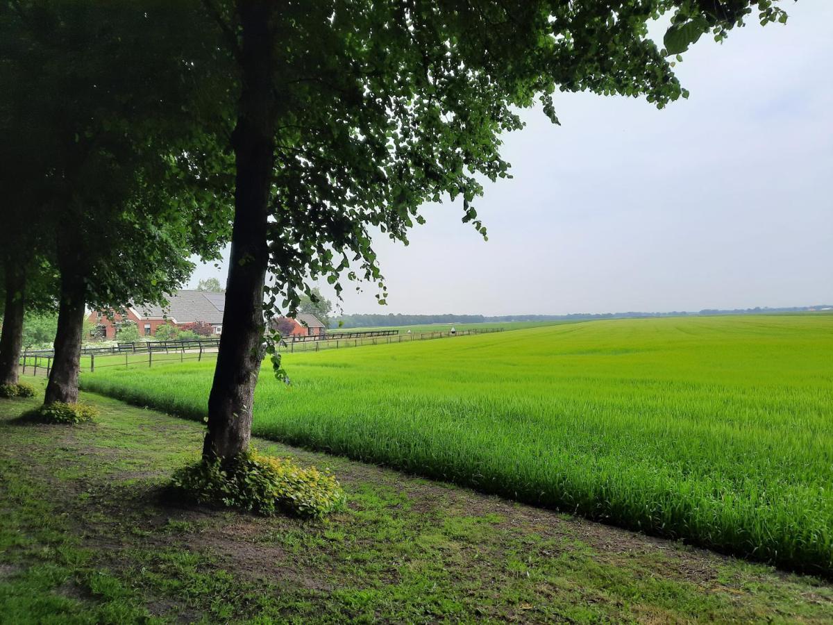 Vledderstee Apartment Vledderveen  ภายนอก รูปภาพ